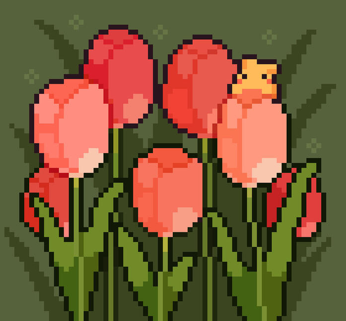 tulips