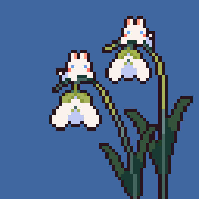 snowdrops